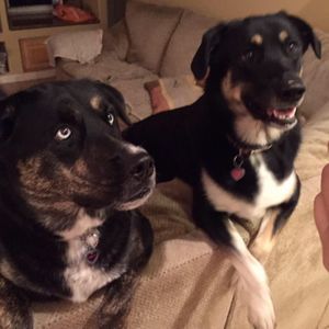 Meet your Posher, Linda